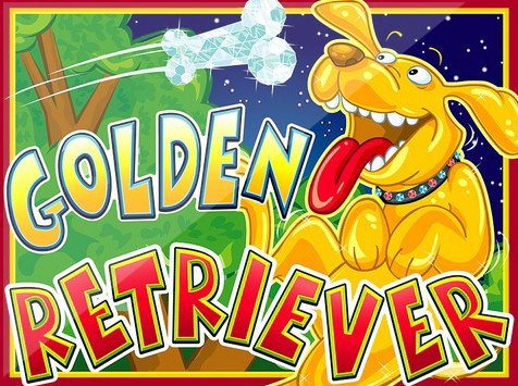 Golden Retriever Slot Game